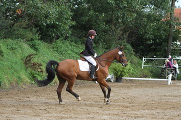 Bild 213 - WBO-Turnier am 18.9.11